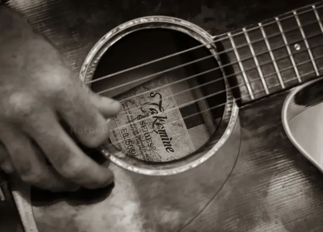 Songwriting and arrangement support